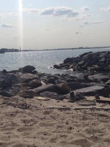 10570350_10203573561772980_346345705917365071_n