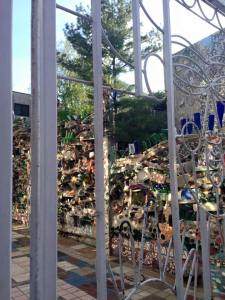 11168590_10205573199082663_1249873568274899779_n